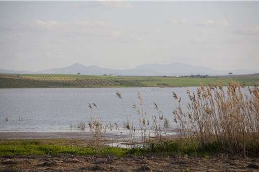 Adelante Andalucía pide implicación al Gobierno para la conservación y puesta en valor de la laguna Ruíz Sánchez.