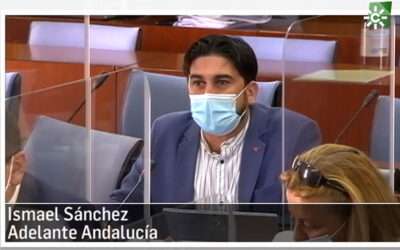 El programa Parlamento en Canal Sur recoge la pregunta que hemos registrado sobre Control de mosquito del Nilo