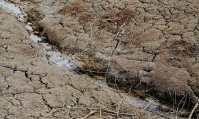 Medidas para combatir la sequía en Andalucía