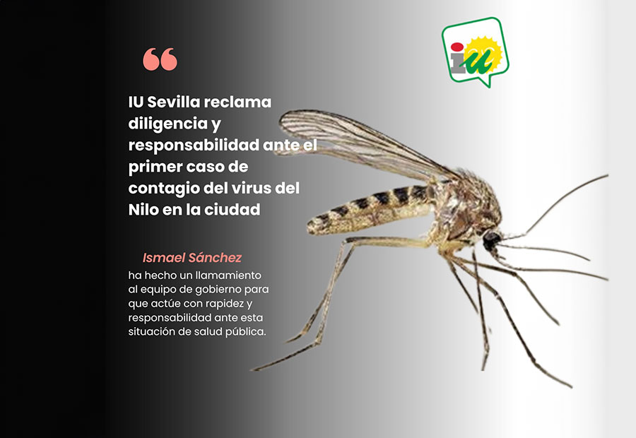 IU Sevilla reclama diligencia y responsabilidad ante el primer caso de contagio del virus del Nilo en la ciudad de Sevilla