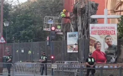 Adiós al ficus de San Jacinto: cuando la memoria se defenestra en silencio