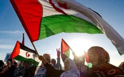 La cobardía es la madre de la crueldad